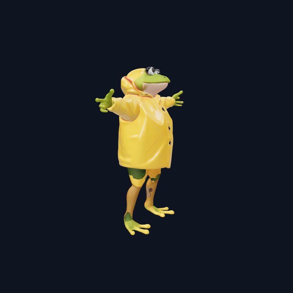 Cheerful Frog Raincoat model pack